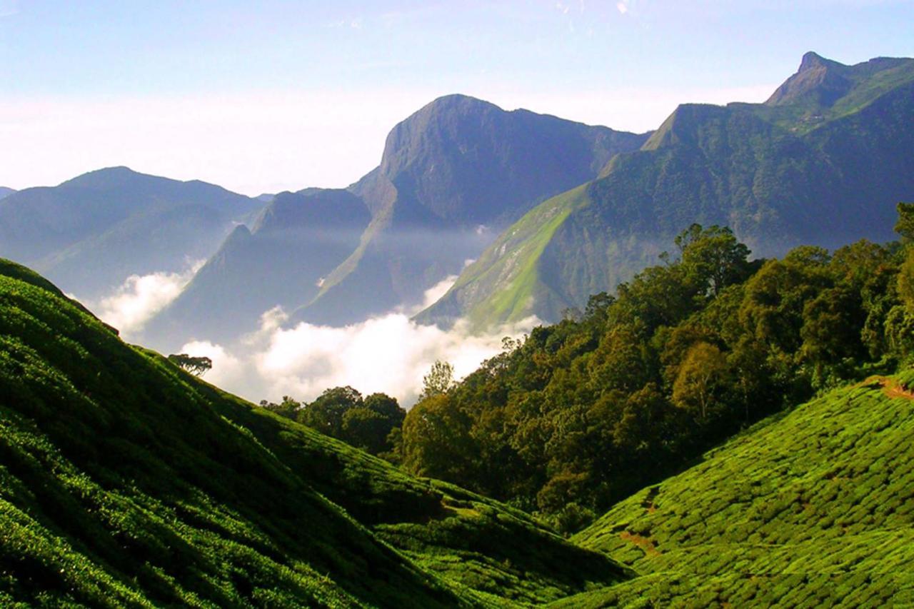 Mistica Munnar Apartment Anachal Exterior photo