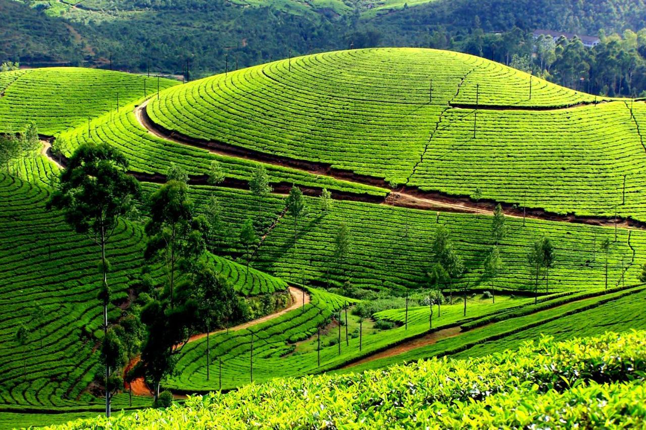 Mistica Munnar Apartment Anachal Exterior photo